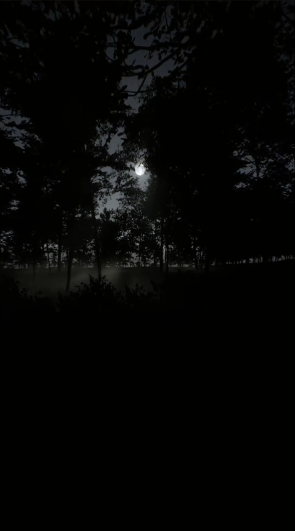 An abandoned corner of the ALONE world