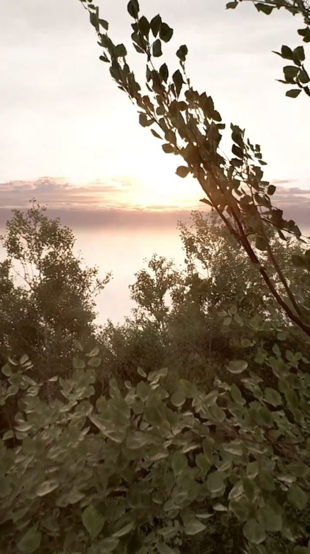 A changing landscape in ALONE